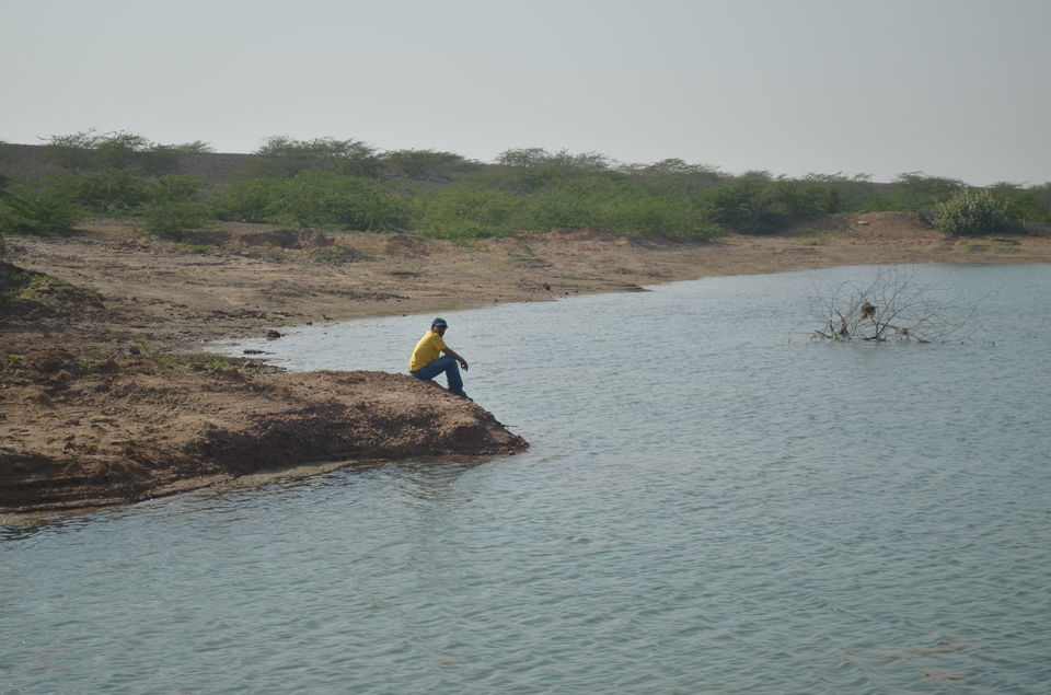 Photo of Life happens when you are busy planning it ... by Sayantani Maiti