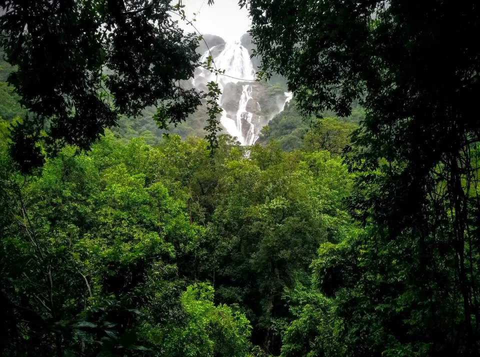 Photo of Dudhsagar Falls, Sonaulim, Goa, India by Devashish Patel