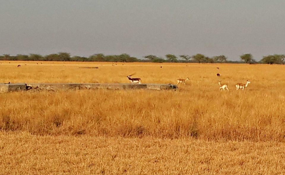 Photo of Alang, Gujarat, India by Devashish Patel