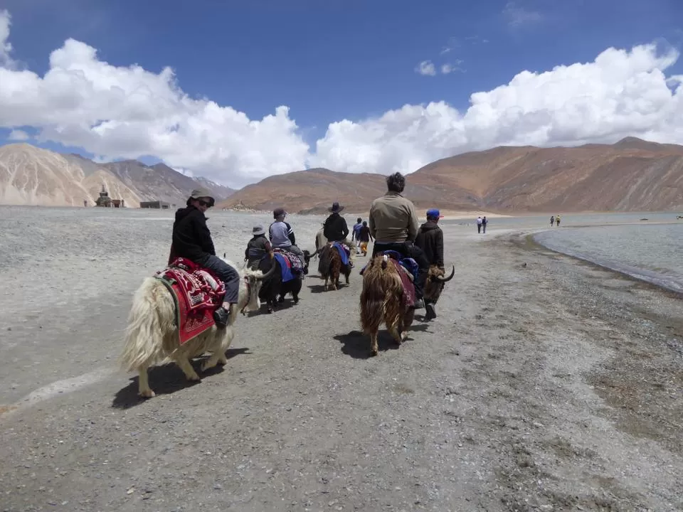 Photo of Pangong Lake by Devashish Patel