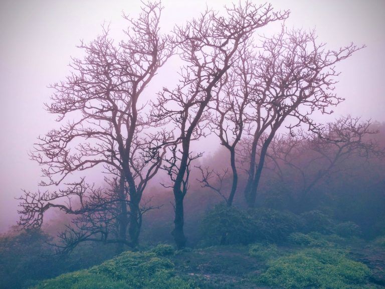 Photo of Valvand, Maharashtra, India by Devashish Patel