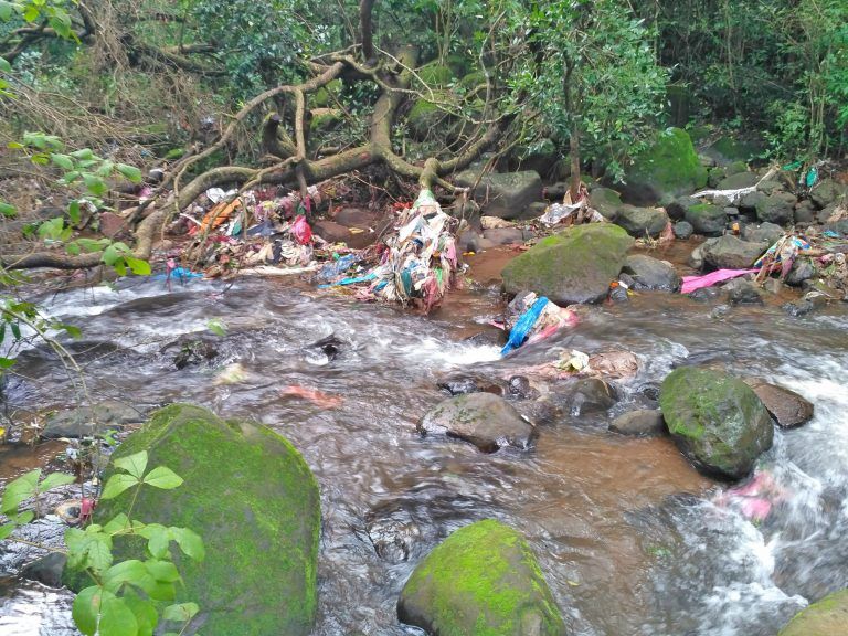 Photo of Bhimashankar, Maharashtra, India by Devashish Patel