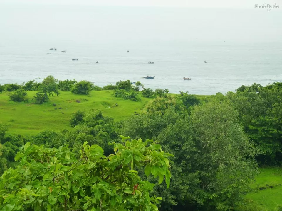 Photo of Diveagar Beach, Raigad, Maharashtra, India by Devashish Patel
