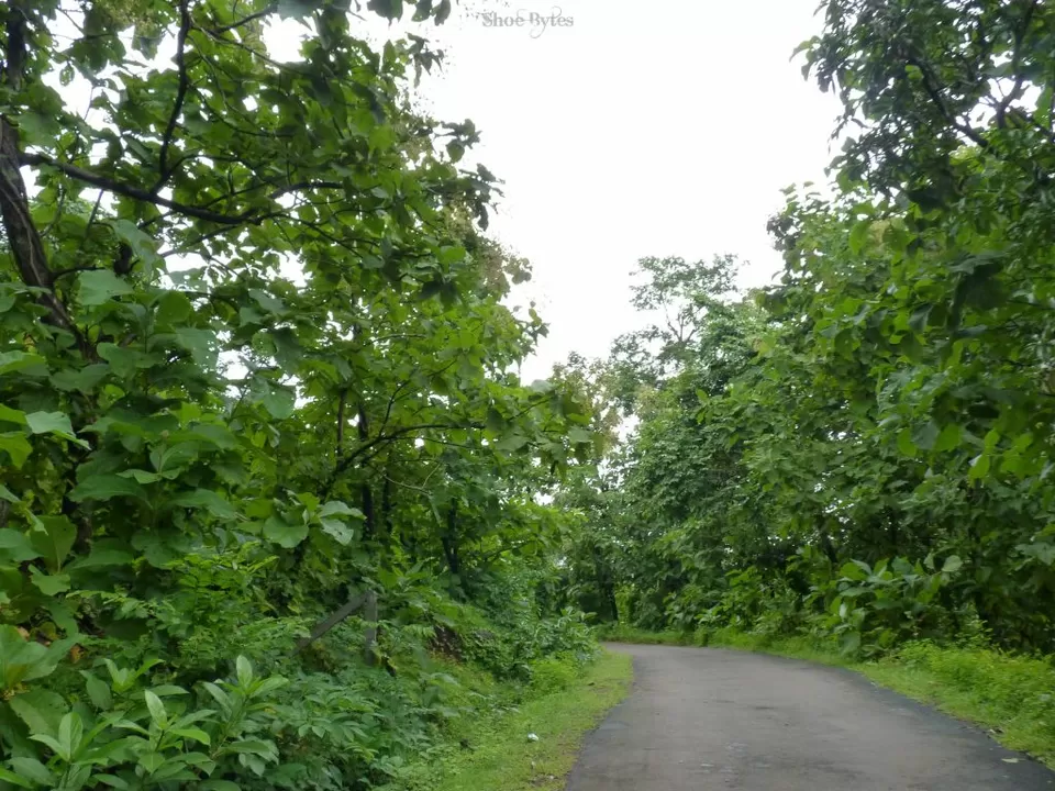 Photo of Vesavi, Maharashtra, India by Devashish Patel