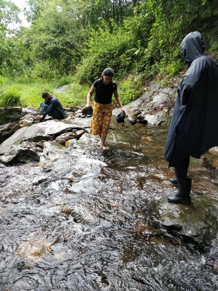 Photo of Solo Trip to Wayanad and Kozhikode 2/2 by Martina Blanche