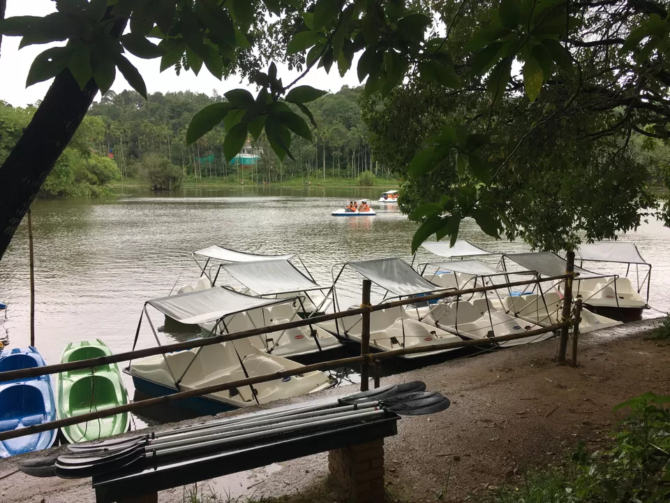 Photo of Solo Trip to Wayanad and Kozhikode by Martina Blanche
