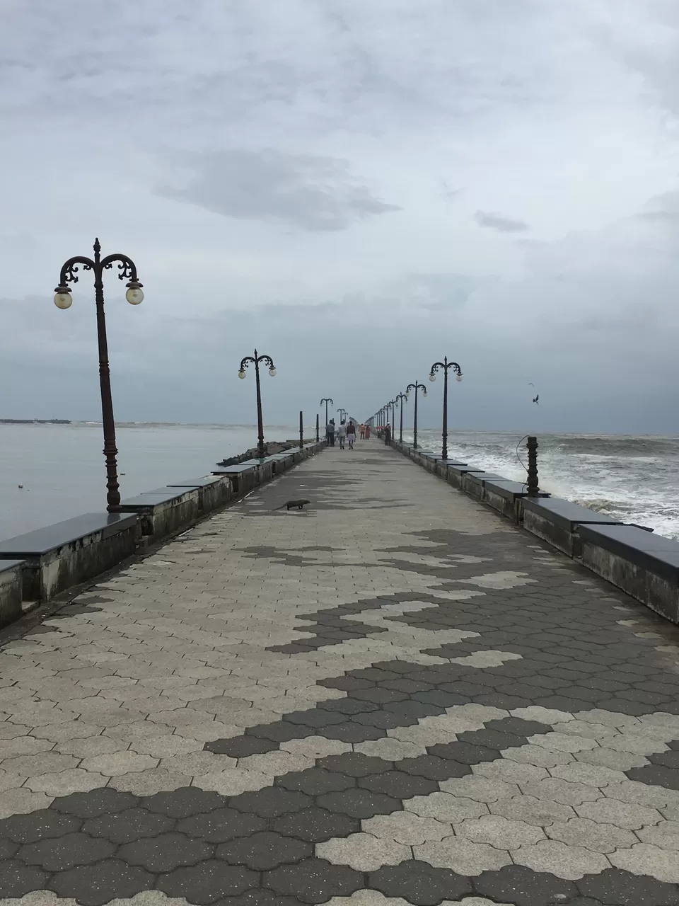 Photo of Solo Trip to Wayanad and Kozhikode by Martina Blanche