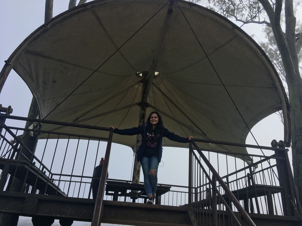Photo of You Can Never Say NO to Nandi Hills 4/5 by Martina Blanche