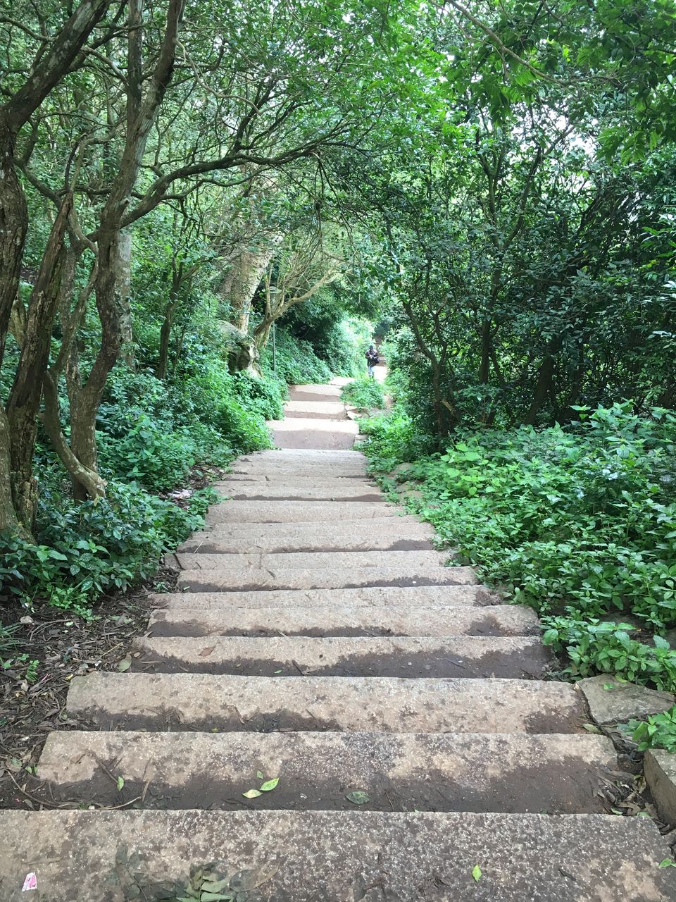 Photo of You Can Never Say NO to Nandi Hills 5/5 by Martina Blanche