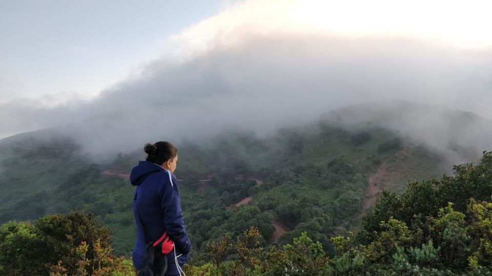 Photo of Things to do in Chikmagalur For A Perfect Weekend Getaway 2/2 by Martina Blanche