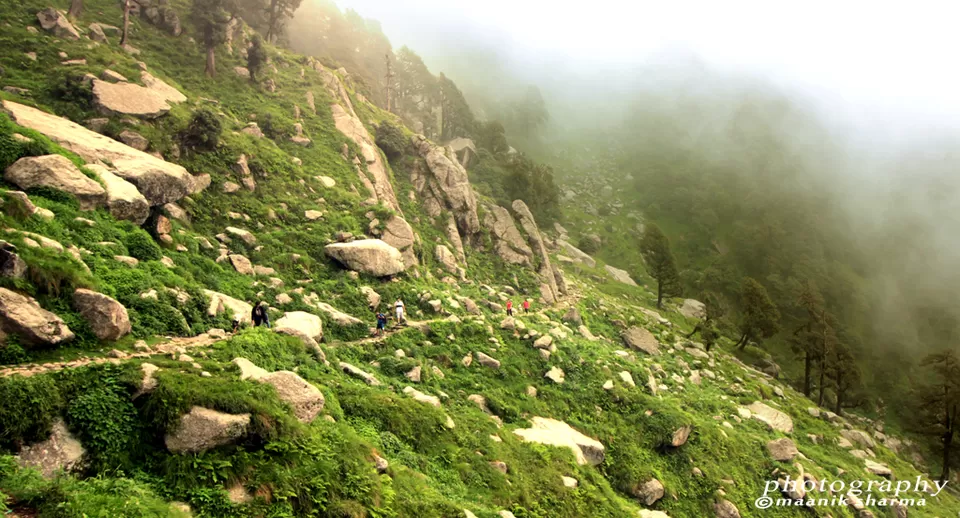 Photo of Trail to Triund Hill, Dharamshala, Himachal Pradesh, India by Manik Sharma