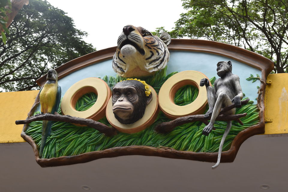 Photo of Mysore Zoo, Ittige Gudu, Mysuru, Karnataka, India by Akshay Abhimanyu