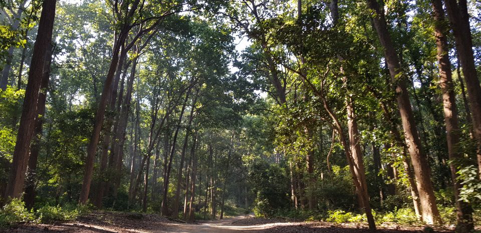 Photo of Journey to Dhikala (Core Territory) : Jim Corbett 10/11 by Akshay Abhimanyu