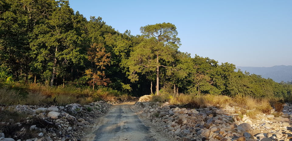 Photo of Journey to Dhikala (Core Territory) : Jim Corbett 8/11 by Akshay Abhimanyu