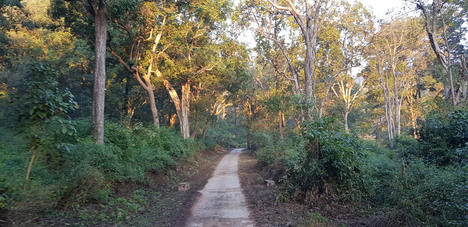 Photo of Journey to Dhikala (Core Territory) : Jim Corbett 6/11 by Akshay Abhimanyu