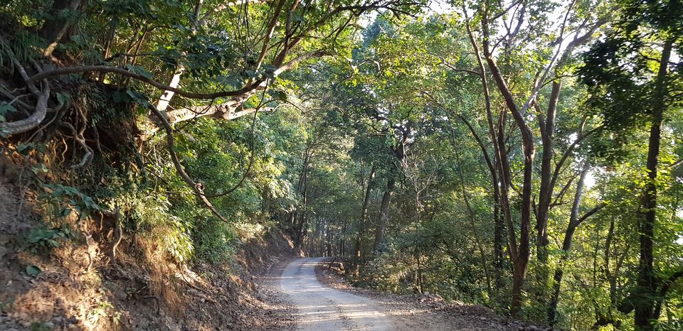 Photo of Journey to Dhikala (Core Territory) : Jim Corbett 7/11 by Akshay Abhimanyu
