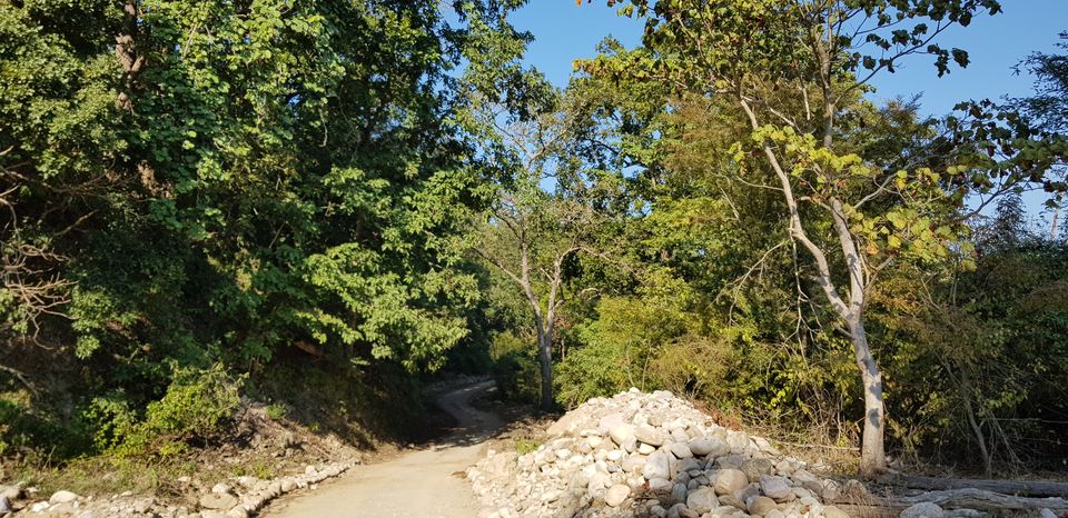 Photo of Journey to Dhikala (Core Territory) : Jim Corbett 9/11 by Akshay Abhimanyu