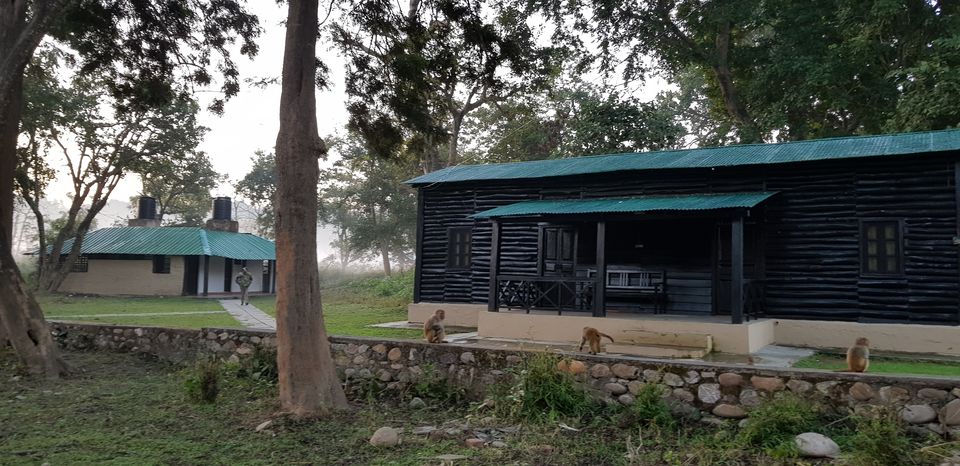 Photo of Journey to Dhikala (Core Territory) : Jim Corbett by Akshay Abhimanyu