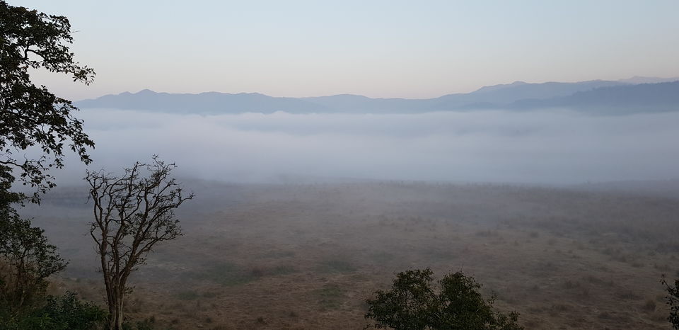 Photo of Journey to Dhikala (Core Territory) : Jim Corbett by Akshay Abhimanyu