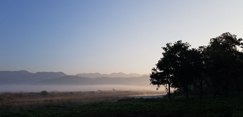 Photo of Journey to Dhikala (Core Territory) : Jim Corbett by Akshay Abhimanyu