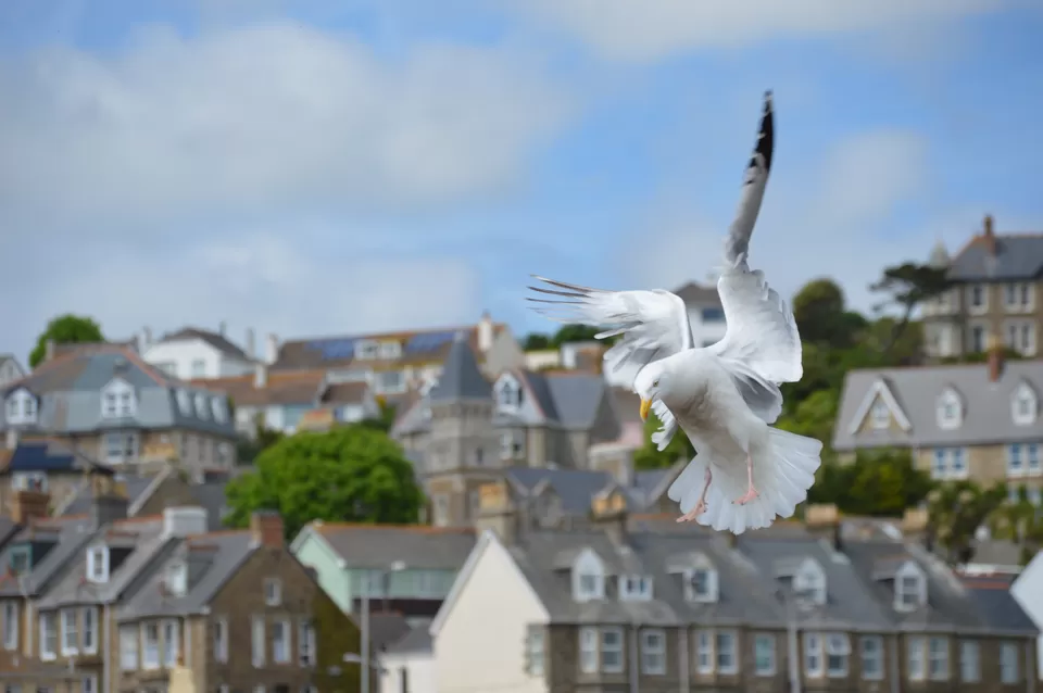 Photo of Penzance, United Kingdom by Mahalakshmi Venkatesh