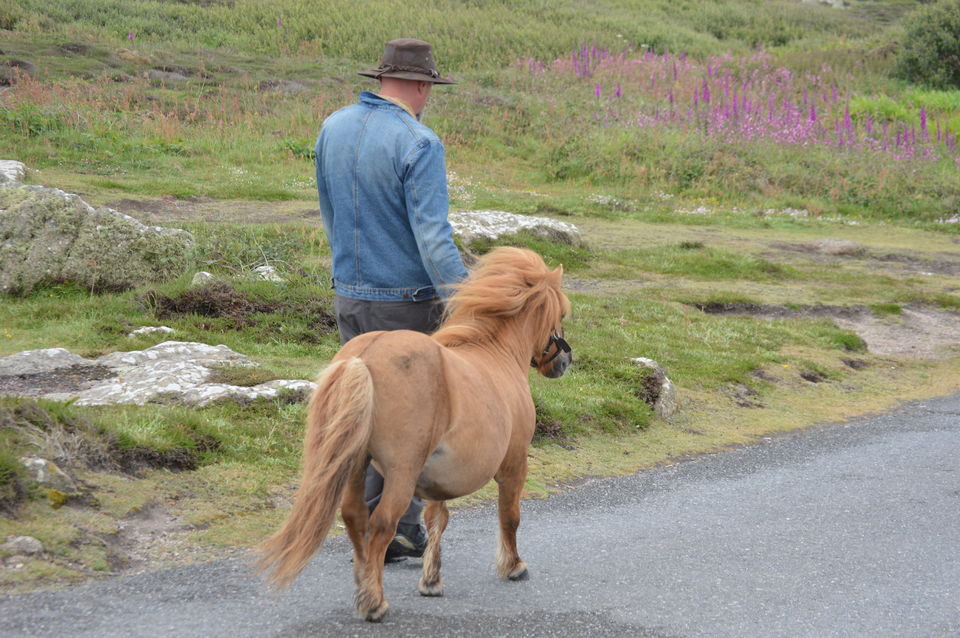 Photo of CORNWALL. A SEA-SIDE AFFAIR! by Mahalakshmi Venkatesh