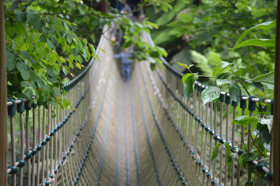 Photo of The Lost Gardens of Heligan, Pentewan, United Kingdom by Mahalakshmi Venkatesh
