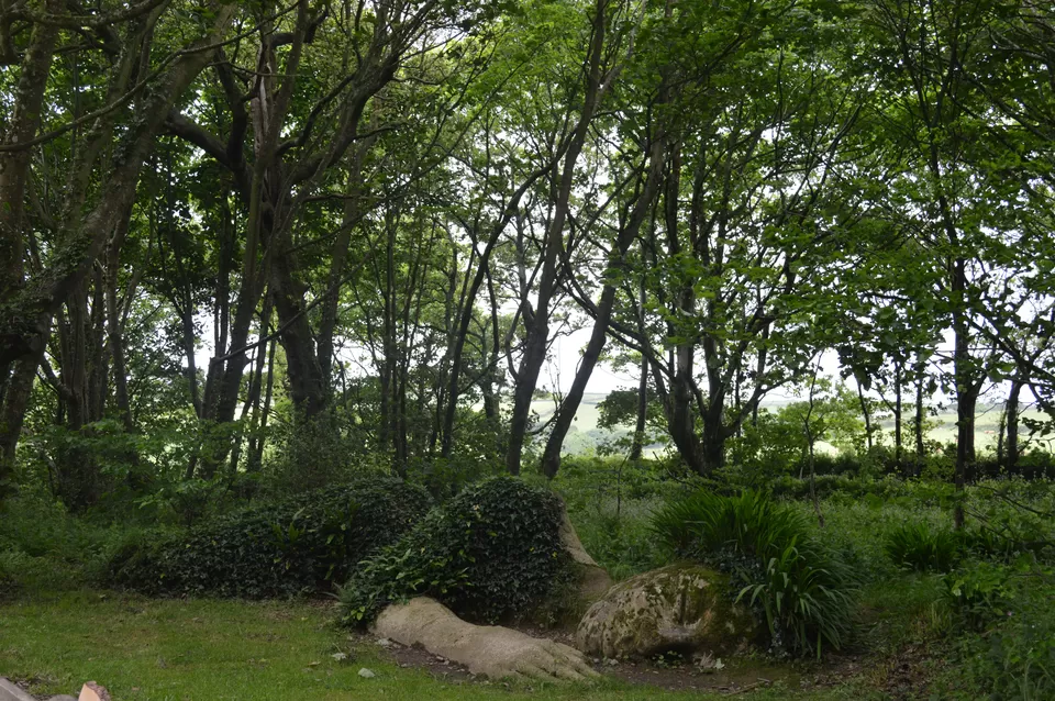 Photo of The Lost Gardens of Heligan, Pentewan, United Kingdom by Mahalakshmi Venkatesh