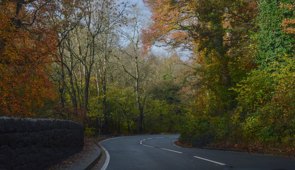 Photo of Wales, a lost bit of heaven. 1/1 by Mahalakshmi Venkatesh