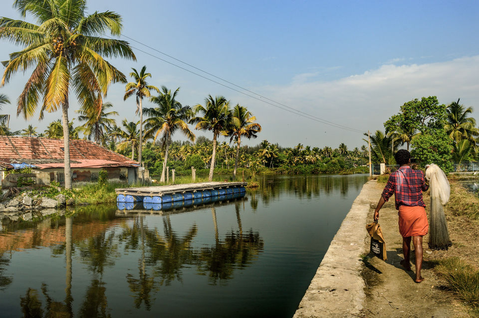 Photo of The Almighty's plan for my vacation in his own country, Kerala! by Mahalakshmi Venkatesh