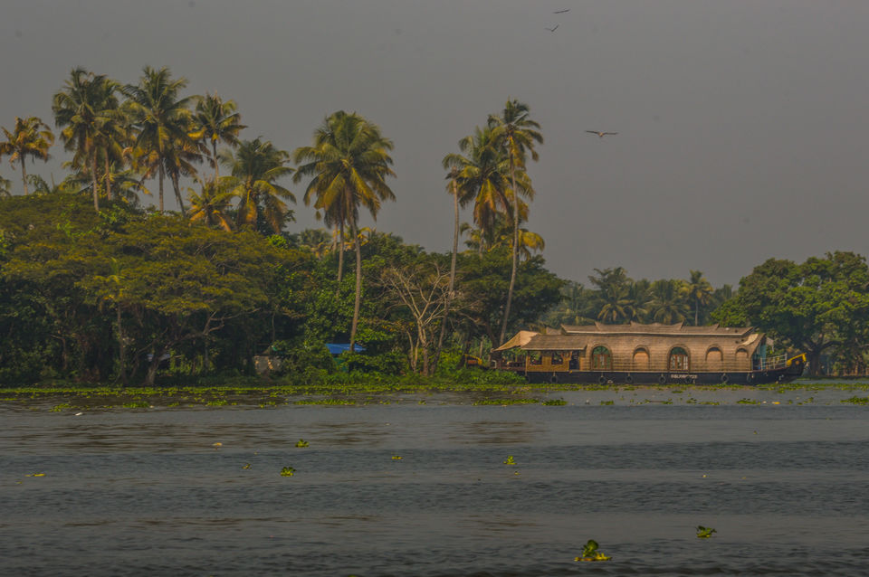 Photo of The Almighty's plan for my vacation in his own country, Kerala! by Mahalakshmi Venkatesh