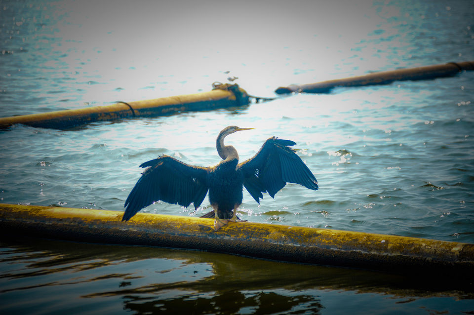 Photo of The Almighty's plan for my vacation in his own country, Kerala! by Mahalakshmi Venkatesh