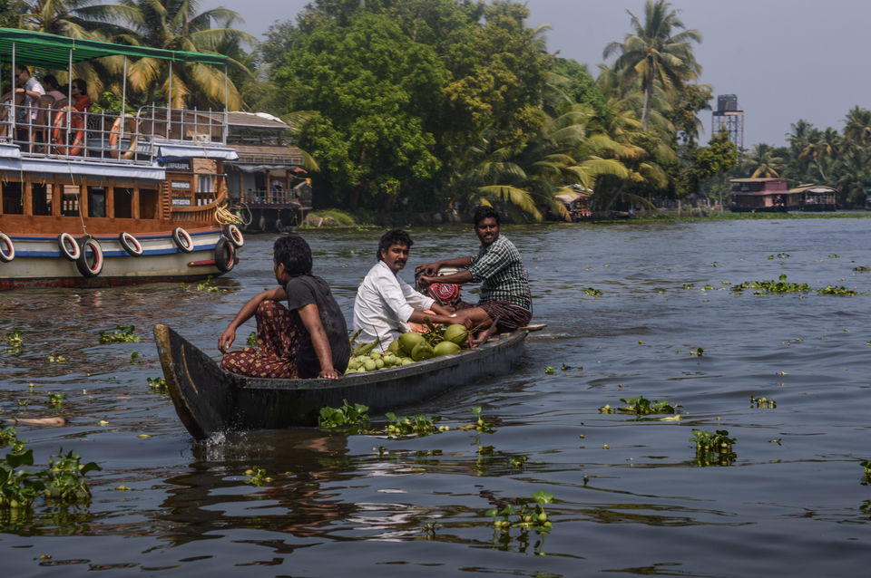 Photo of The Almighty's plan for my vacation in his own country, Kerala! 2/5 by Mahalakshmi Venkatesh