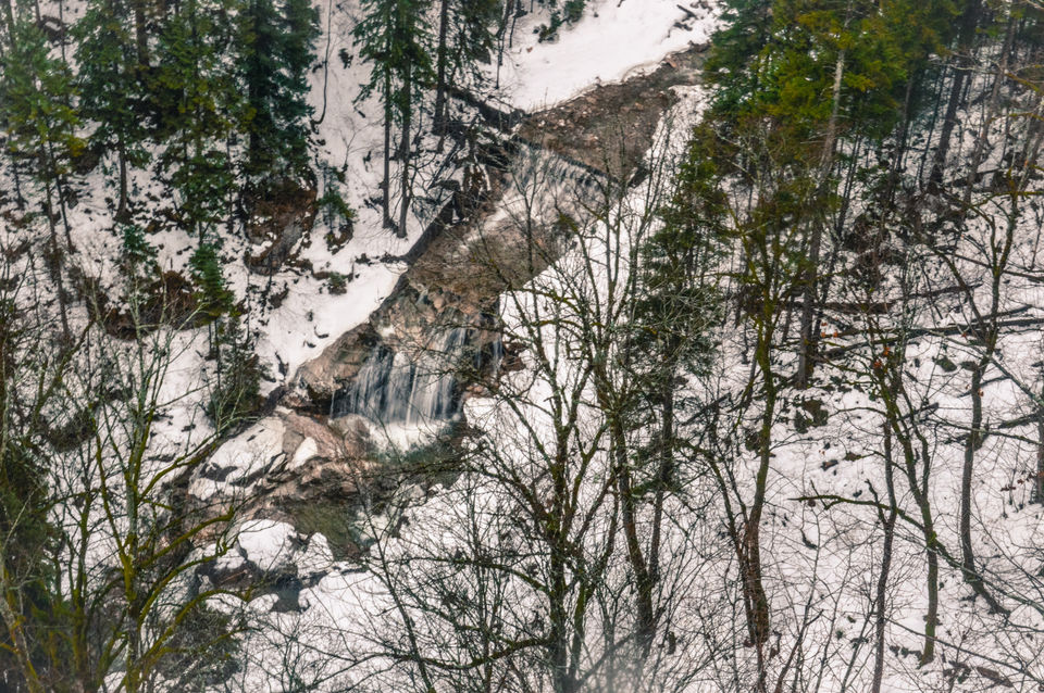 Photo of Living the white dream in the Bavarian alps of Germany :) by Mahalakshmi Venkatesh