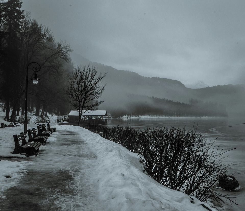Photo of Alpsee, Schwangau, Germany by Mahalakshmi Venkatesh