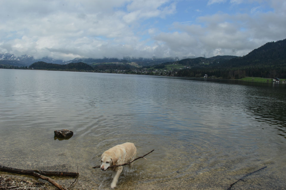 Photo of 2 days in the alpine meadows of Austria by Mahalakshmi Venkatesh