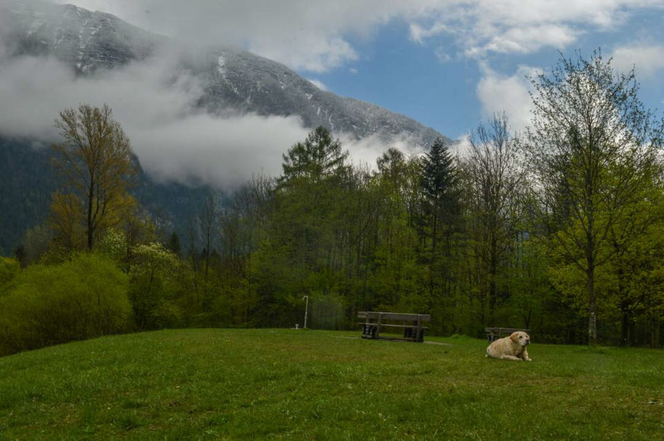 Photo of 2 days in the alpine meadows of Austria by Mahalakshmi Venkatesh
