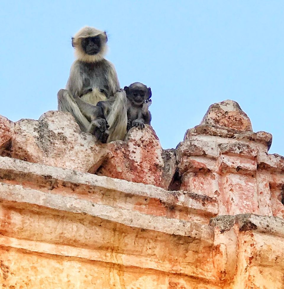 Photo of 2 DAYS IN THE GOLDEN HERITAGE OF INDIA: HAMPI by Mahalakshmi Venkatesh