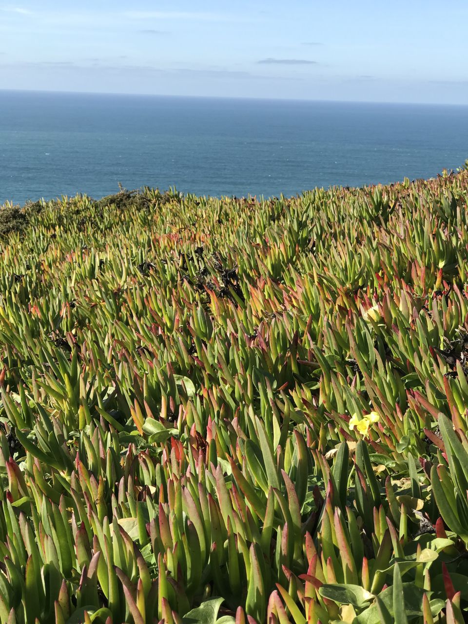 Photo of Cabo da Roca, Estrada do Cabo da Roca, Colares, Portugal by Mahalakshmi Venkatesh