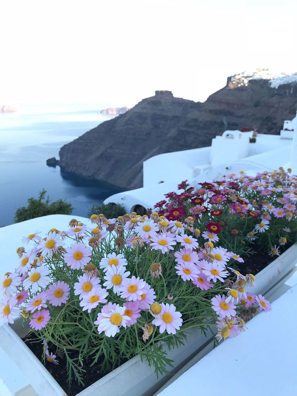 Photo of Fira, Greece by Mahalakshmi Venkatesh