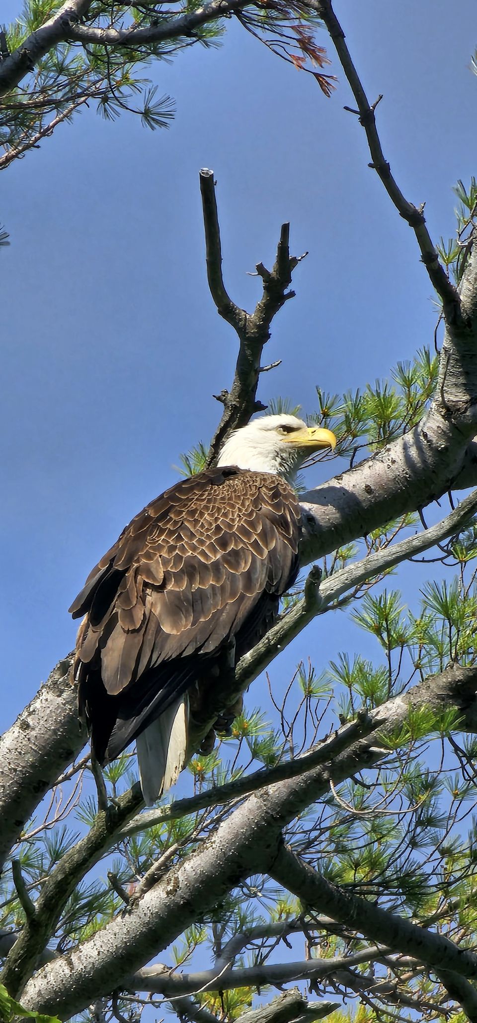 Photo of A "Superior" experience - Michigan's Upper Peninsula 3/25 by Mahalakshmi Venkatesh