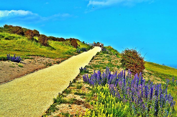 Photo of Dover Priory, Folkestone Road, Dover, UK by Akriti Sinha
