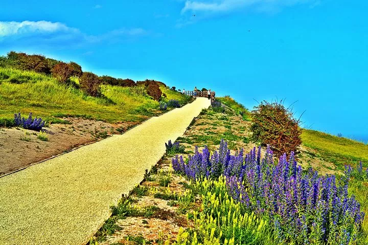 Photo of Dover Priory, Folkestone Road, Dover, UK by Akriti Sinha