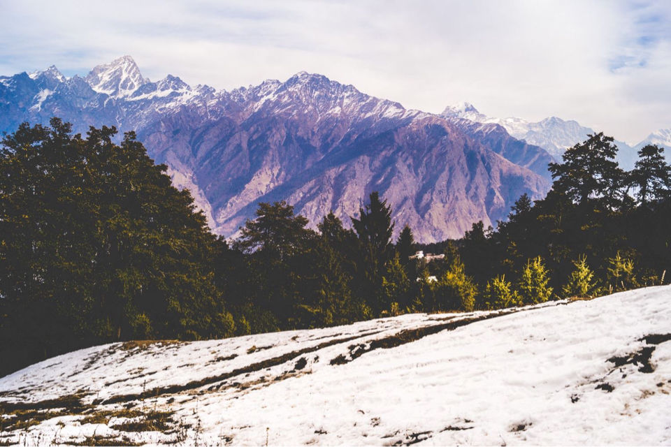 Photo of Auli by Akriti Sinha