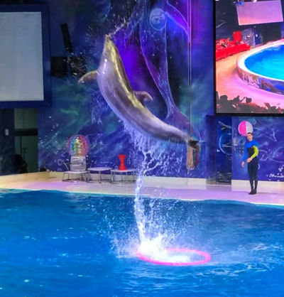 Photo of Dubai Dolphinarium - Dubai - United Arab Emirates by Neha Kadam