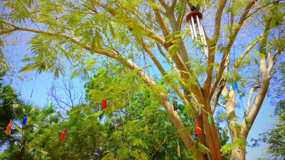 Photo of Auroville, Tamil Nadu, India by Neha Kadam