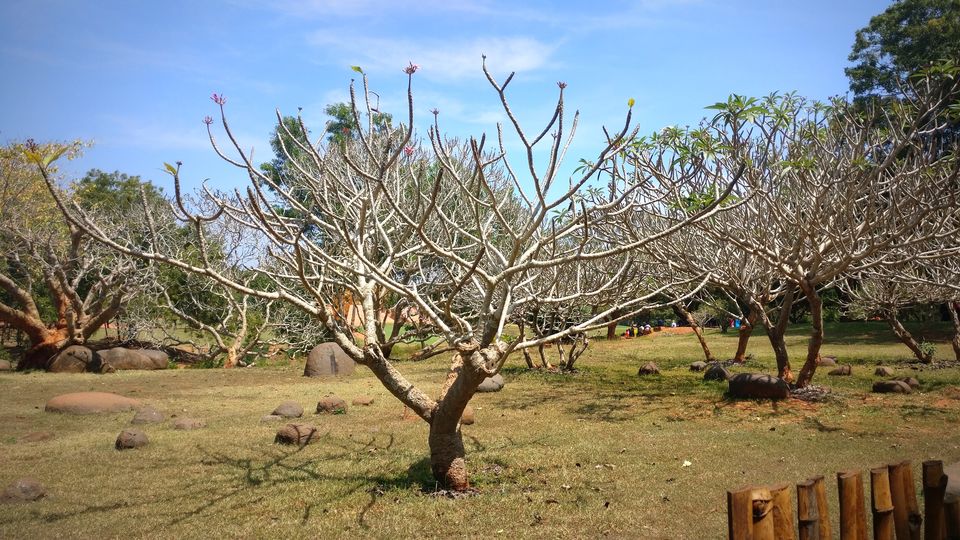 Photo of Pondicherry - A wholesome travel experience! by Neha Kadam