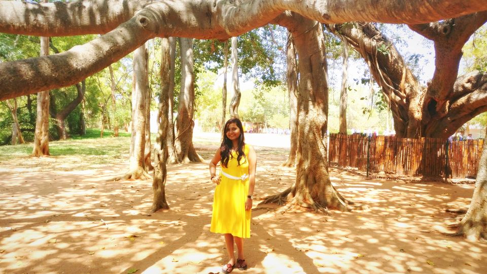 Photo of Pondicherry - A wholesome travel experience! by Neha Kadam