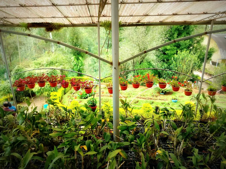 Photo of Rose Garden, Munnar - Udumalpet Rd, Nullatanni, Munnar, Kerala, India by Neha Kadam