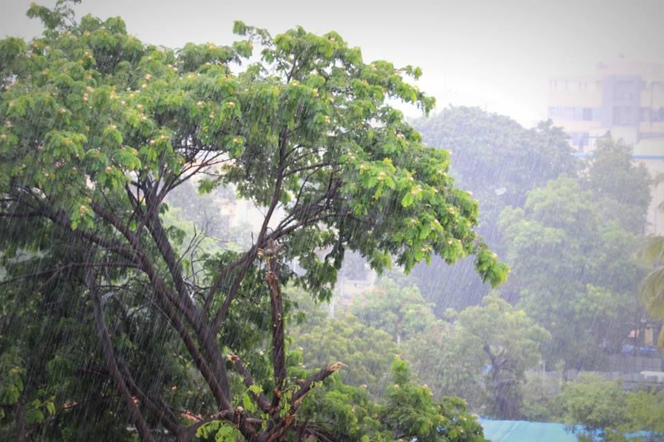 Photo of Things to do this monsoon- beyond Lonavala! by Neha Kadam